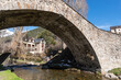 Sallent de Gallego. Old Bridge or Paco. Clean Water River
