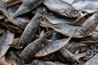 Sun dried fish. Stock-fish on the brown paper.
