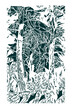 Old pine forest, vector illustration. Black and white hand-drawn drawing