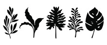 Set Of Leaves Silhouette Of Beautiful Plants, Leaves, Plant Design. Vector Illustration 15.	