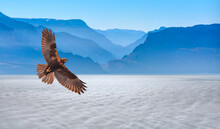 Red-tailed Hawk Flying Over Amazing Clouds With Blue Mountains In The Background