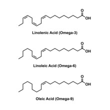 Chemical Structure Of Some Fatty Acids (Linolenic Acid, Linoleic Acid And Oleic Acid). Vector Illustration.