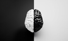 Black And White Human Brain On Black And White Background With Copy Space - 3D Illustration