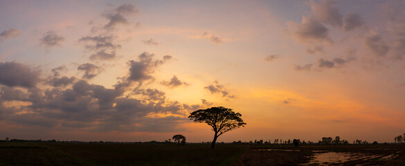Wall Mural - The atmosphere of the sky after sunset over the fields, panorama.