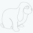 Continuous one line drawing of baby rabbit, Vector illustration line art.