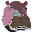 Illustration of hippopotamus. Hippos are aggressive and are considered very dangerous.