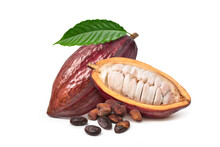 Fresh Cocoa Pods With Dried Beans Isolated On White Background.