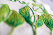 © AnaPliego - detalle de textura de bordado con hilo de algodón en colores verdes, close up con desenfoque