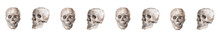 Memento Mori Watercolor Pattern Of Skulls
