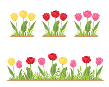 Tulips In Green Grass. Flower Bed With Red, Yellow And Pink Spring Flowers. Vector Illustration In Cartoon Flat Style.