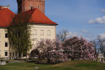 Poland, Krakow, Wawel Royal Castle, Cathedral, belfry,