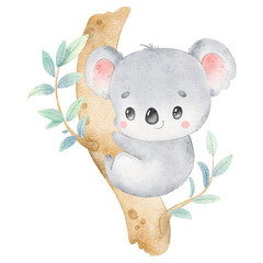 Wall Mural - Digital watercolor. Digitally drawn illustration of a cute cartoon koala isolated on a white background. Little cute watercolor animals.