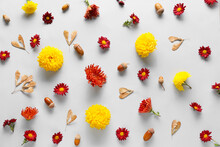 Different Chrysanthemum Flowers, Maple Seeds And Acorns On White Background