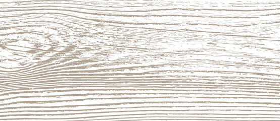Texture of wood