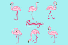 Set Of Cute Flamingo Pink Bird Flamingos Aesthetic Tropical Exotic Hand Drawn Flat Style Collection