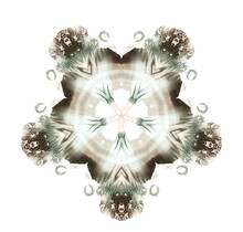 Isolated On White Dark Brown And Emerald Green Watercolor Painted Five-pointed Kaleidoscopic Canvas On White Paper. Fine Abstract Multicolor Symmetric Painting. Symmetrical Artistic Background.
