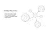 Fototapeta  - Model molecule with low poly wireframe on isolated white illustration