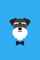 Sticker - Gentlemen dog wear glasses and bowknot like a man, Fashion portrait of dog, schnauzer