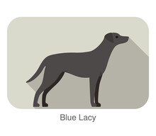 Blue Lacy Breed Dog Standing On The Ground, Side, Dog Cartoon Image Series