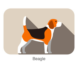 Wall Mural - Beagle dog breed flat icon design, vector illustration