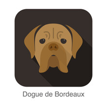 Dogue De Bordeaux Dog Face Portrait Flat Icon Design, Vector Illustration