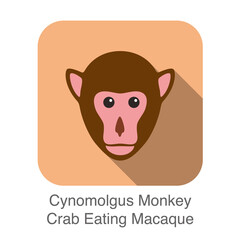 Wall Mural - cute Cynomolgus monkey, crab eating macaque face flat icon design, vector illustration