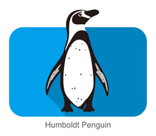 Humboldt Penguin Standing Flat Icon Vector Illustration