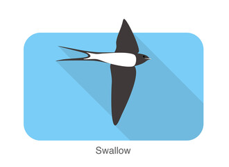 Wall Mural - Swallow flat icon design, cartoon, vector illustration