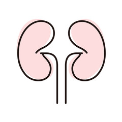 Wall Mural - Human organ kidney flat icon, vector illustration