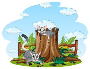 Wall Mural - Two sugar gliders in the garden