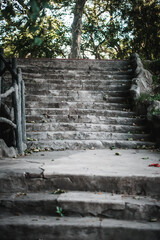 Wall Mural - Old stairs in a park