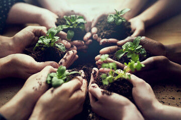 Poster - Growing a greener tomorrow together. Closeup shot of a group of people each holding a plant growing in soil.