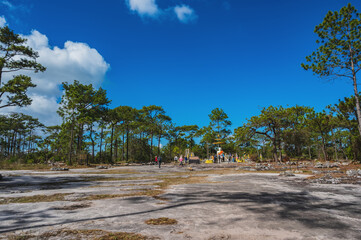 Wall Mural - Loei/.hailand-20.11.2021:Buddha statue and Unacquainted people  on LanPresrinakarin on top of Phu Kradueng mountain  in Loei City Thailand.Phu Kradueng national park the famous Travel destination