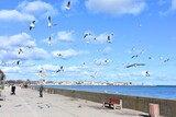 Fototapeta Miasto - Gdynia, miasto portowe nad Bałtykiem, miejscowość wypoczynkowa, nad morzem,