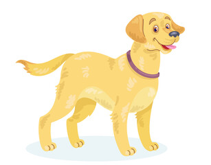 Sticker - Adult golden retriever dog. In cartoon style. Isolated on white background. Vector flat illustration.