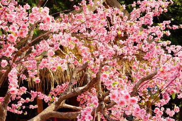 Sticker - pink flower background that was invented to replace real flowers