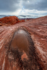 Wall Mural - Red rock in Valley of Fire under heavy rain fall