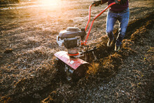 Man Cultivates The Ground In The Garden With A Tiller  Preparing The Soil For Sowing