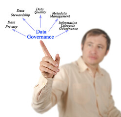 Wall Mural - five functions of data governance