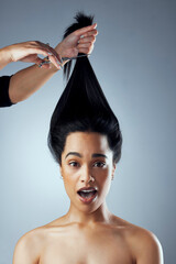 Wall Mural - Shes about to change her life. Studio shot of young woman getting her hair cut against a grey background.