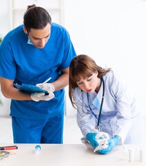 Wall Mural - Two young vet doctors examining sick cat