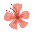 © Gstudio - red tropical flower