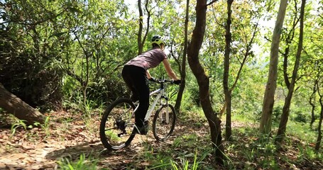 Wall Mural - Asian woman mountain biking on spring forest trail 