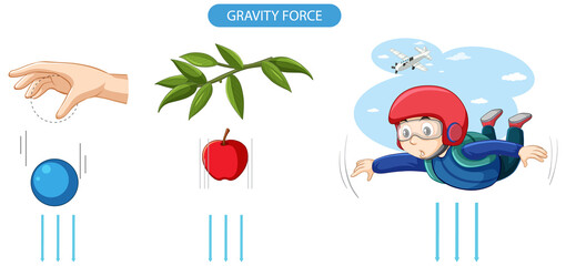 gravity force experiment example
