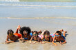 © CandyRetriever  - Group of Diversity little child boy and girl friends lying on tropical beach and playing in sea water together on summer vacation. Happy children kid enjoy and fun outdoor lifestyle on beach holiday