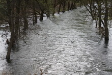 Hochwasser In Einem Fluss, Zeichen Des Klimawandels Und Der Klimafolgen