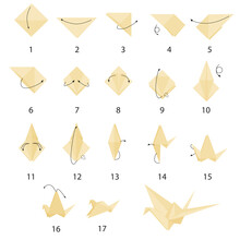 Instructions On How To Make Paper Crane Step By Step. Origami. Flat Vector Isolated On White Background.