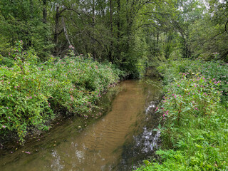 Wall Mural - River Serebryanka in a Moscow park Izmaylovo