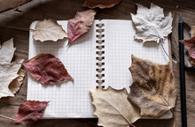 Opened Notebook, Dry Leaves On Plain Stone Surface Table. Reading, Literature, Poetry, Library And Autumn Fall Concept Photo.