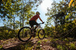 © lzf - Mountain biking in spring forest